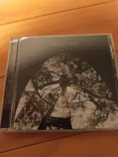 FRIENDLY FIRES/FRIENDLY FIRES