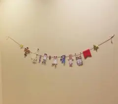 ココちゃん coco