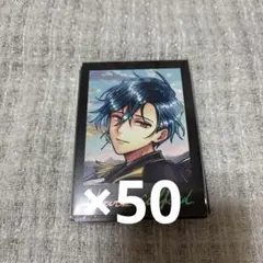 あくねこ ぱしゃこれ プレミアム vol.2 ハウレス 郵便イベント