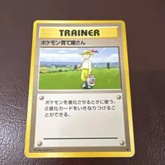 2026年最新】ポケモンカード 旧 ポケモン育て屋さんの人気アイテム