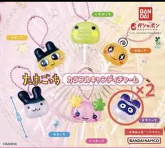 うさぎっこ様 リクエスト 2点 まとめ商品