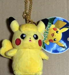 ピカちゅうず 大川ぶくぶ ポケモンセンター ぬいぐるみ ピカチュウ