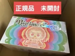 正規品Labubu Big into Energy アソートボックス　Z560