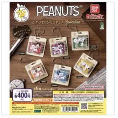 PEANUTS パッケージミニチュアコレクション スヌーピー 75周年
