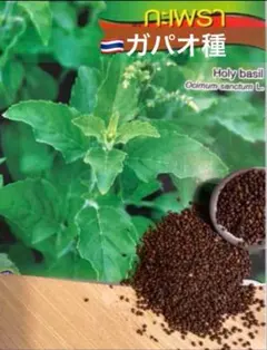 Yui様 リクエスト 2点 まとめ商品