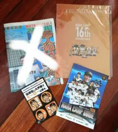 Item thumbnail for item 2afcf79c-82af-41a3-aab3-daaf32384f0f