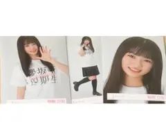 櫻坂46 稲熊ひな 生写真 First showcase ロゴTシャツ