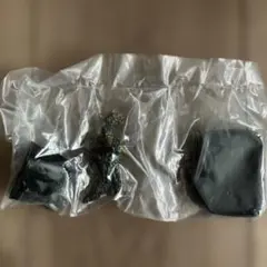 Item thumbnail for item f090d90c-726a-4f0b-ab81-779c6c1100e9