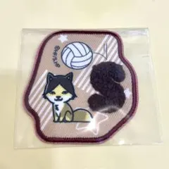 2025年最新】スナギツネ ハイキューの人気アイテム - メルカリ