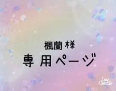 楓蘭(プロフィール一読お願いします)様 リクエスト 2点 まとめ商品