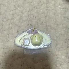パッケージチャーム　ポムポムプリン　サンリオ