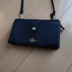 Item thumbnail for item d64c4a0d-8937-46db-9d2d-fb425a7aa0f3