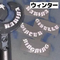 aespa エスパ　ペンライト　ステッカー aespa エスパ ペンライト イェッポン ステッカー 反射 デコ カリナ