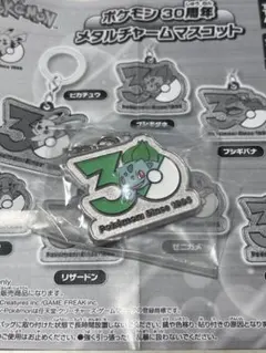 ポケモン 30周年 メタルチャームマスコット
