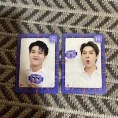 SkyNani トレカ　※シークレットあり SkyNani トレカ ※シークレットあり SKYNANI / コレクティブル