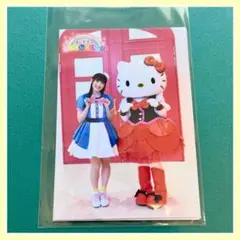 Item thumbnail for item 3400bc47-8aae-48e3-b86e-702ee3ff8804