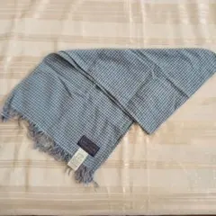 Item thumbnail for item 445fe291-8113-4b71-bb6e-c7bea0238973