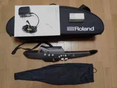 マクラーレン純正 美品シーテック リチウムイオンバッテリー 充電器 