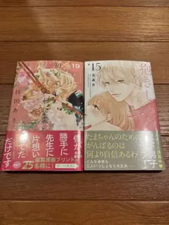 初めての恋をした日に読む話 19 抱きしめて ついでにキスも 15 2冊セット