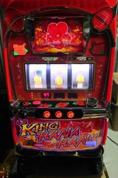 さつまりこ様】ハナハナ実機 グレートキングハナハナ 25パイ（コイン