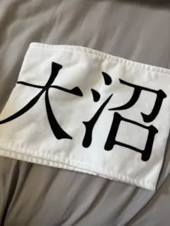 Item thumbnail for item 85a06bc6-1a59-475e-a5e1-fc6f82cf7797