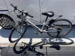 2026年最新】DAIWA CYCLE 自転車 ジュニアスポーツの人気アイテム