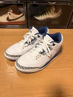 Air Jordan 3 Retro True Blue and Copper