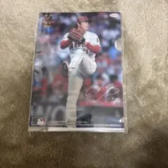 Item thumbnail for item 8e0ff39a-2908-4177-9b7f-493aebbe93fe