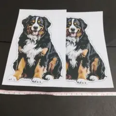 【ジャンク品】バーニーズマウンテンドッグ犬防水ステッカー２枚