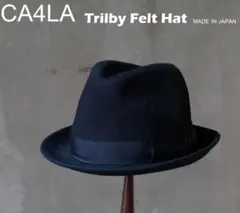 Item thumbnail for item dc36bedb-0c00-47fd-84c4-741c7d2de1f1