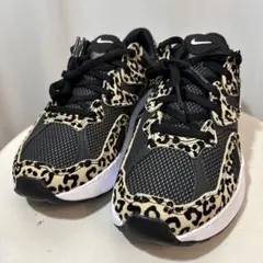 Item thumbnail for item 0ac0bfdc-f1e6-4acb-9dee-8feb30725776