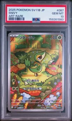 2026年最新】ナエトル ar psa10の人気アイテム - メルカリ