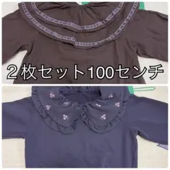 100センチ 薄手トレーナーと綿100%カットソー 春服