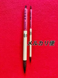 新品　小学観峰となまえ観峰のセット　メルカリ便　日本習字選定品