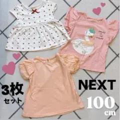 100cm 女の子 3枚まとめ トップスセット Tシャツ NEXT キッズのサムネイル