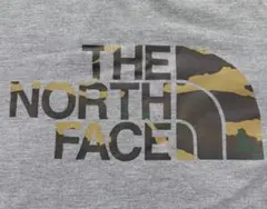THE NORTH FACE カモフラージュTシャツ メンズ S