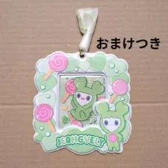 [BANDAINAMCO] TWICELOVELYS カードホルダー ジョンヨン