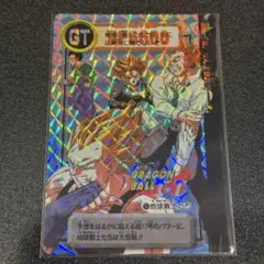 191 地球戦士たち カードダス本弾30弾