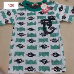 Item thumbnail for item 6a1888ca-64c4-44b0-903e-aca33b29eef4