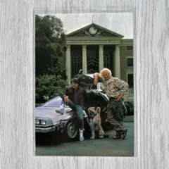 11/10限定価格 バックトゥザフューチャー アインシュタイン ポストカード