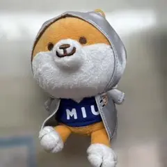 ポリまるくん　MIU404 ラストマイル