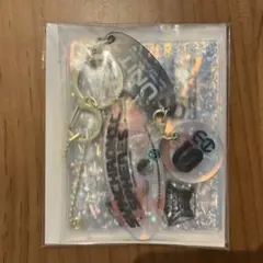 あんスタ スタライ VIP特典 カードケース DREAM LIVE 6th