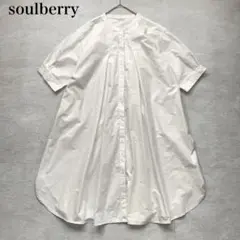soulberry pn015同好会がつくった、風を感じるワンピース 3Lのサムネイル
