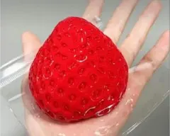 大人気☆袋付きもちもちスクイーズ　いちごスクイーズ
