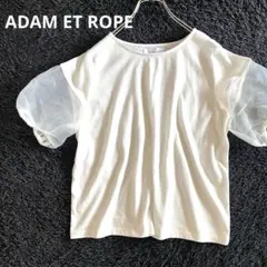 【美品】ADAM ET ROPE シアー切替トップス ランタンスリーブ 白