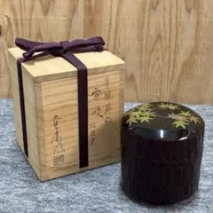 竹内幸斎 青楓蒔絵 雪吹 松皮塗 棗 茶器 薄茶器 茶道具 蒔絵 山中塗