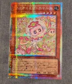 遊戯王　マルチャミー・ニャルス　プリズマ　プリシク