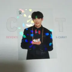 SEVENTEEN トレカ　ドギョム