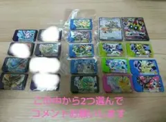 ポケモンフレンダ 写真から2枚選んで カミツオロチ ピカチュウ