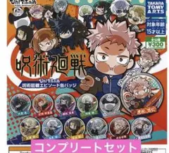 ぴた でふぉめ 呪術廻戦 エピソード 缶バッジ 全12種